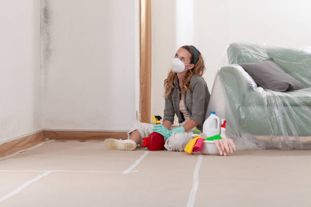 Reliable Mold Remediation contractor in South Saint Paul, MN by WQB Mold Removal